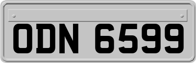 ODN6599