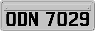 ODN7029