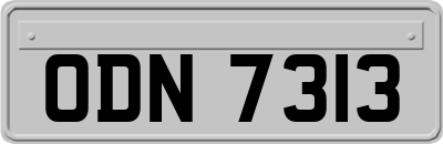 ODN7313