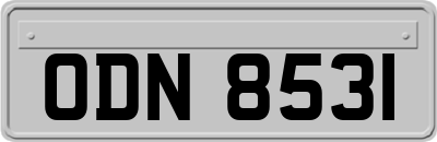 ODN8531
