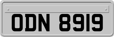 ODN8919