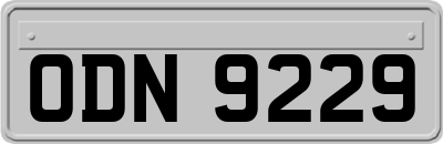 ODN9229