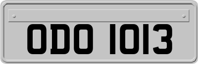 ODO1013