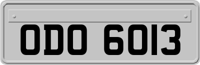 ODO6013