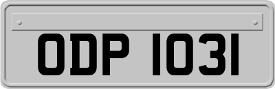 ODP1031