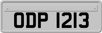 ODP1213