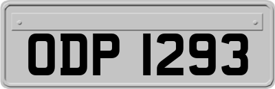 ODP1293