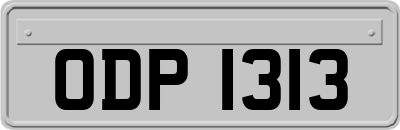 ODP1313