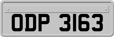 ODP3163