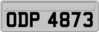 ODP4873