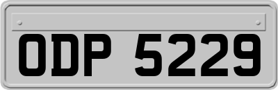 ODP5229
