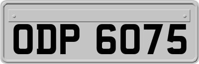 ODP6075