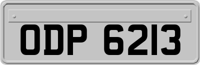 ODP6213