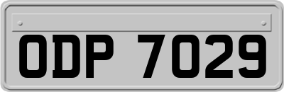 ODP7029