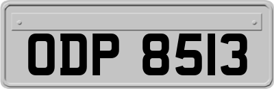 ODP8513