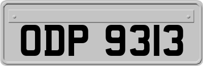 ODP9313