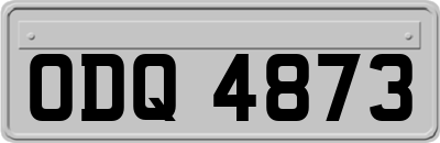 ODQ4873