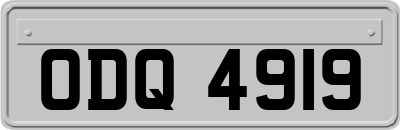 ODQ4919