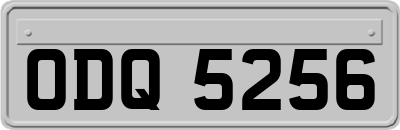 ODQ5256