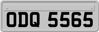 ODQ5565