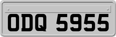 ODQ5955