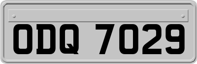 ODQ7029