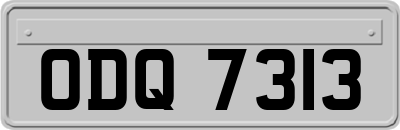 ODQ7313