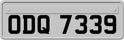 ODQ7339