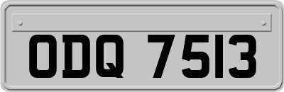 ODQ7513