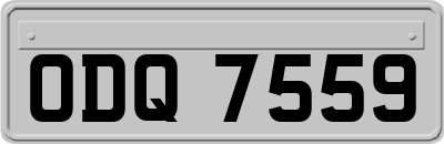 ODQ7559