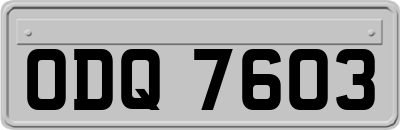 ODQ7603