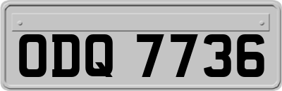 ODQ7736