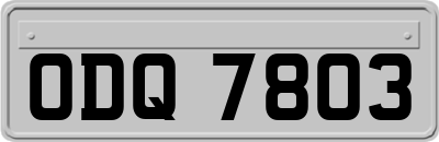 ODQ7803