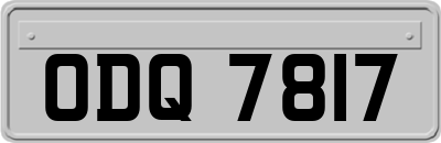 ODQ7817