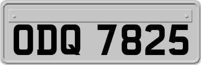 ODQ7825