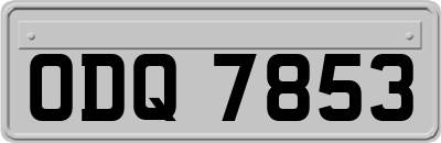 ODQ7853