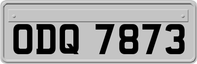 ODQ7873