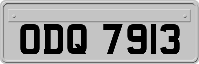 ODQ7913