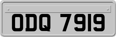 ODQ7919