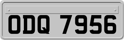 ODQ7956