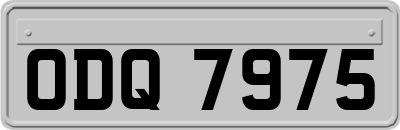 ODQ7975