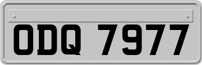 ODQ7977