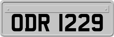 ODR1229