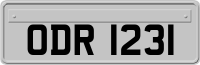 ODR1231