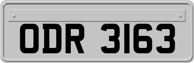 ODR3163