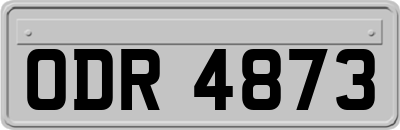 ODR4873