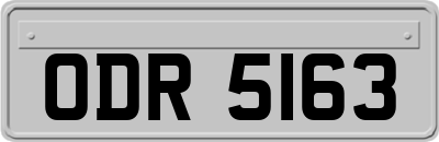 ODR5163