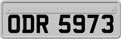 ODR5973