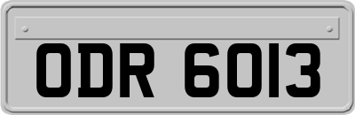ODR6013