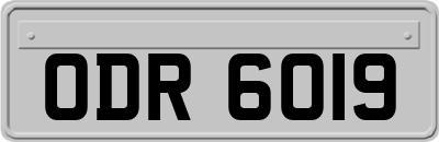 ODR6019